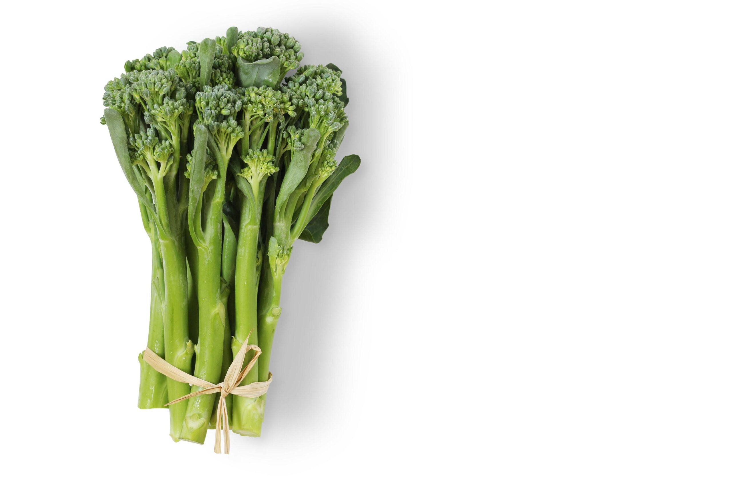 Tenderstem Broccoli: Delicate and Nutrient-Rich from Floss Greens Exports - Image 2