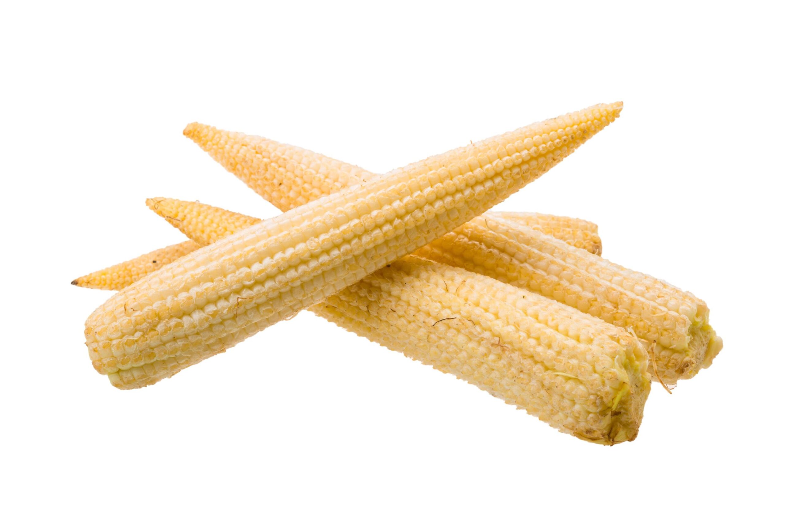 Baby Corn: Petite, Tender, and Delightfully Crunchy - Image 5