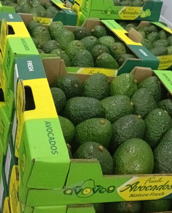 Avocados