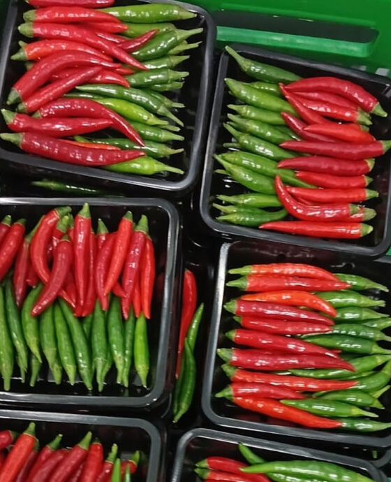 Chillies