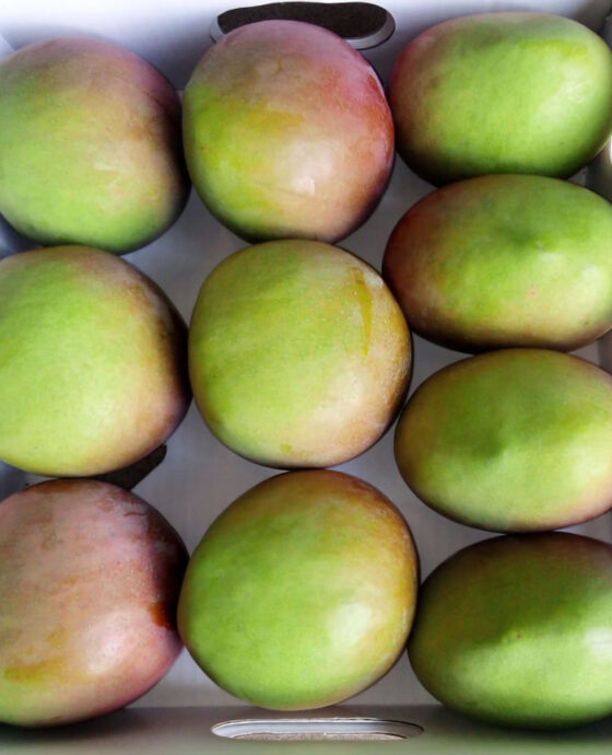 Fresh Mangoes 
